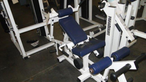 Cybex Leg Extension
