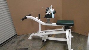 Cybex Leg Extension