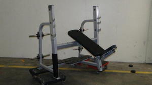 Apex Olympic Decline Benchk